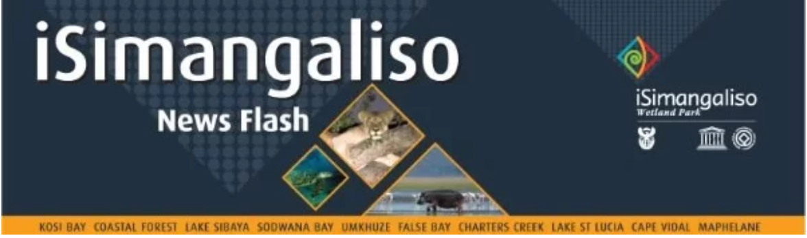 Whale season is back in iSimangaliso Wetland Park