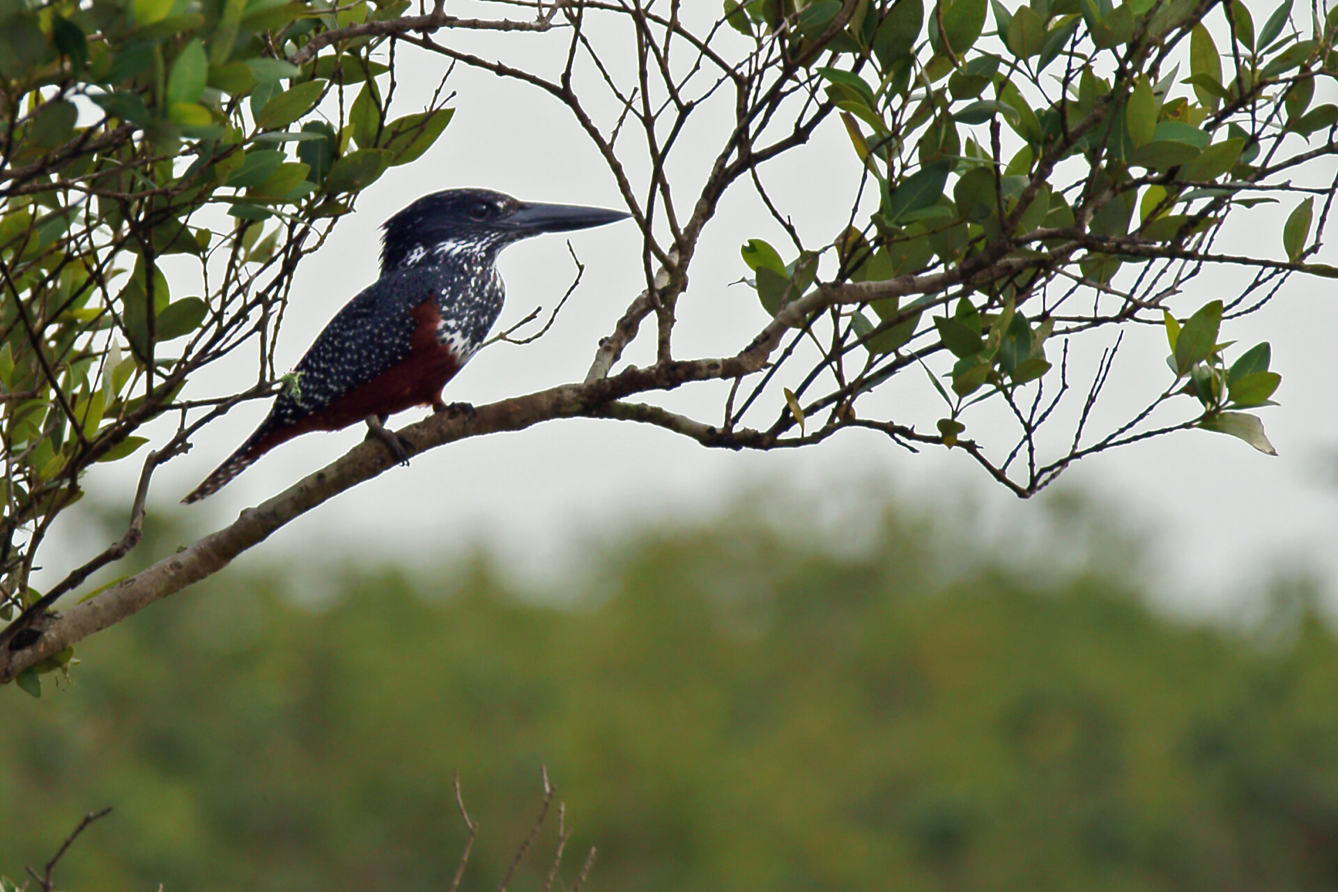 A Rich Sanctuary for <b>Birdlife</b> and <b>Estuarine Creatures</b>