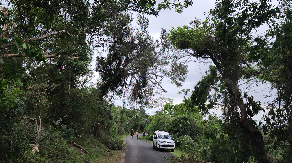 Cape Vidal re-opened to visitors