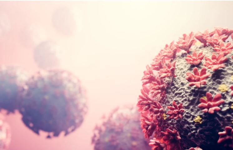 Covid-19 Information