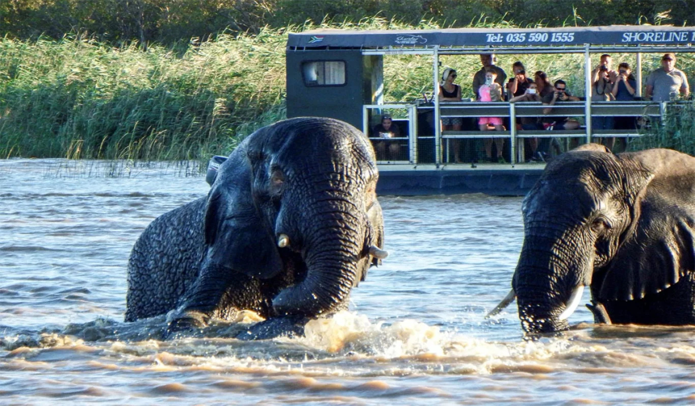 Festive Season Announcement