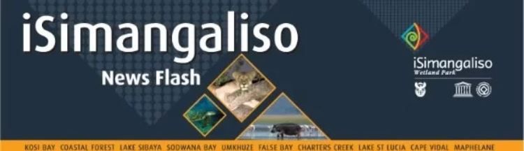 Osomabhizinisi abancane abangamashumi amathathu nanhlanu bokuqala bazohlomula ohlelweni lweSimangaliso lwe-Rural Enterprise Programme.