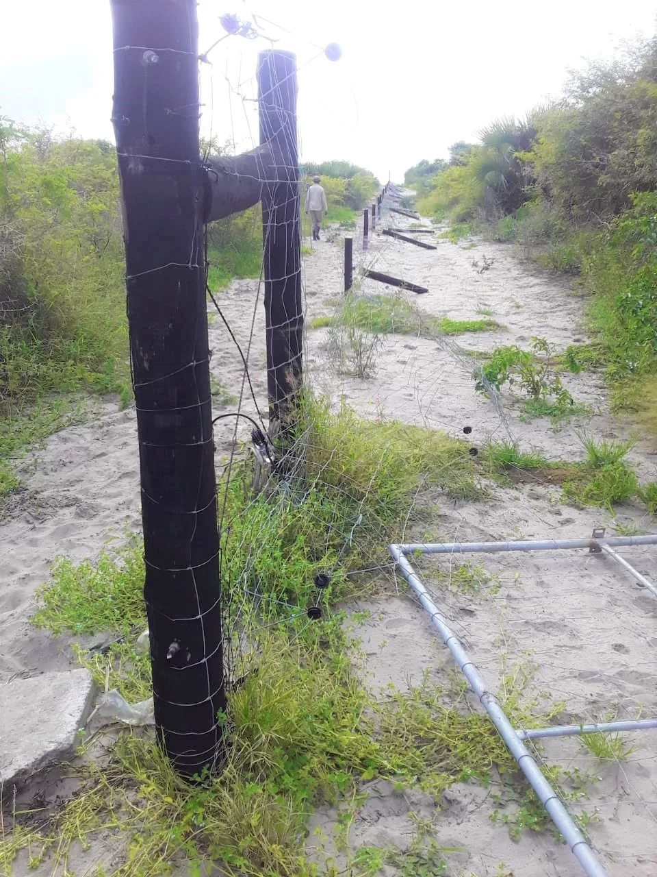 iSimangaliso Wetland Park Welcomes the Court Ruling on the Futhululu Matter