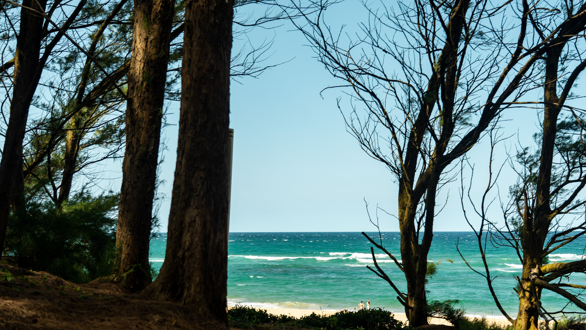 Mission Rocks – Rugged Beauty on the Shore