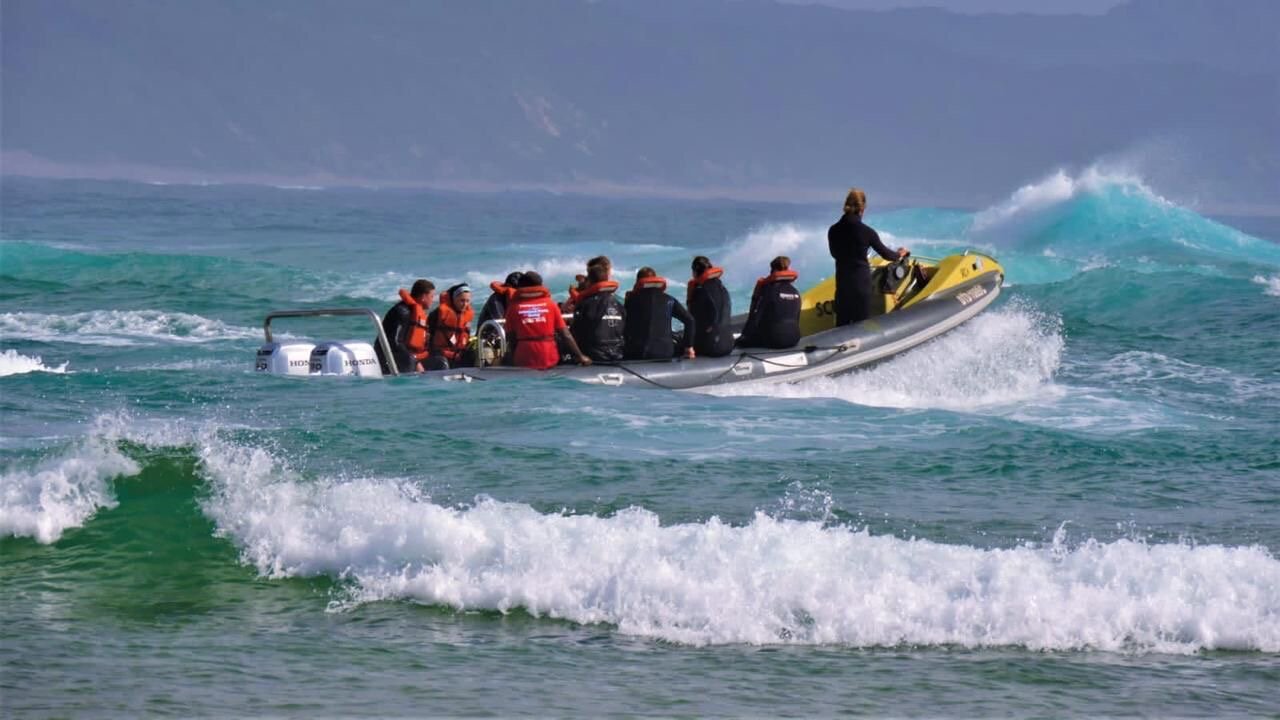 Adventure <b>Above and Below</b> the Surface