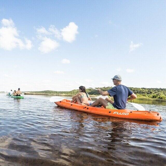 Area Image