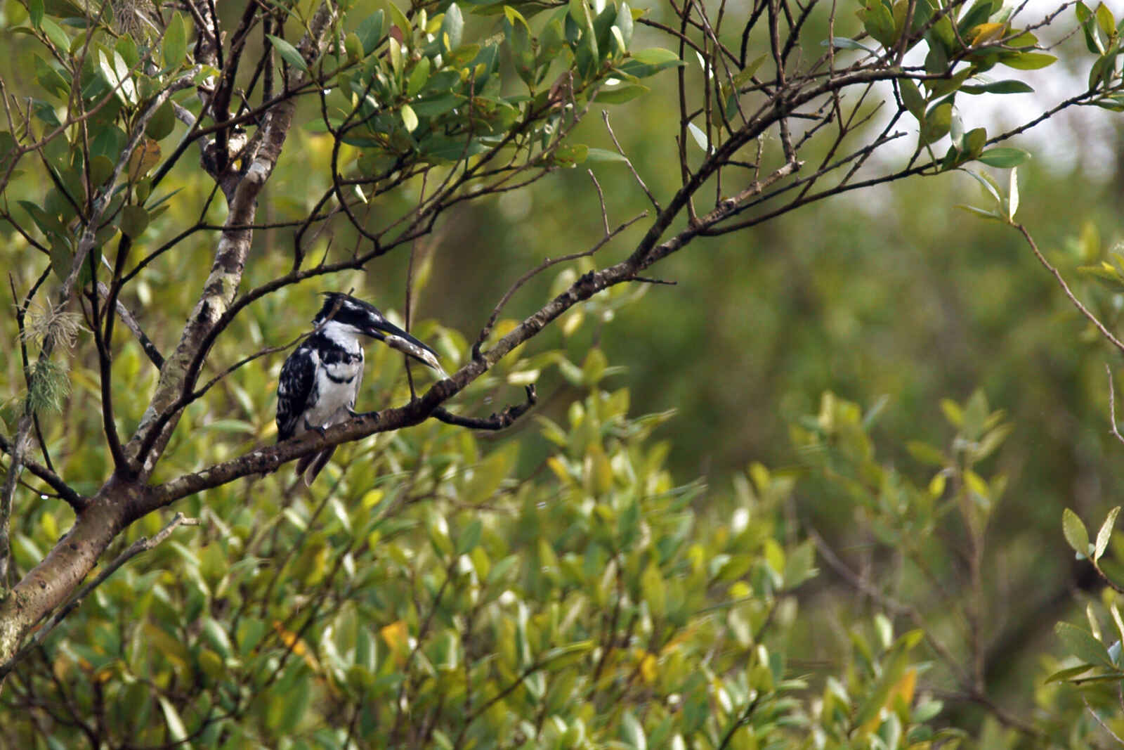 A Birder’s Paradise