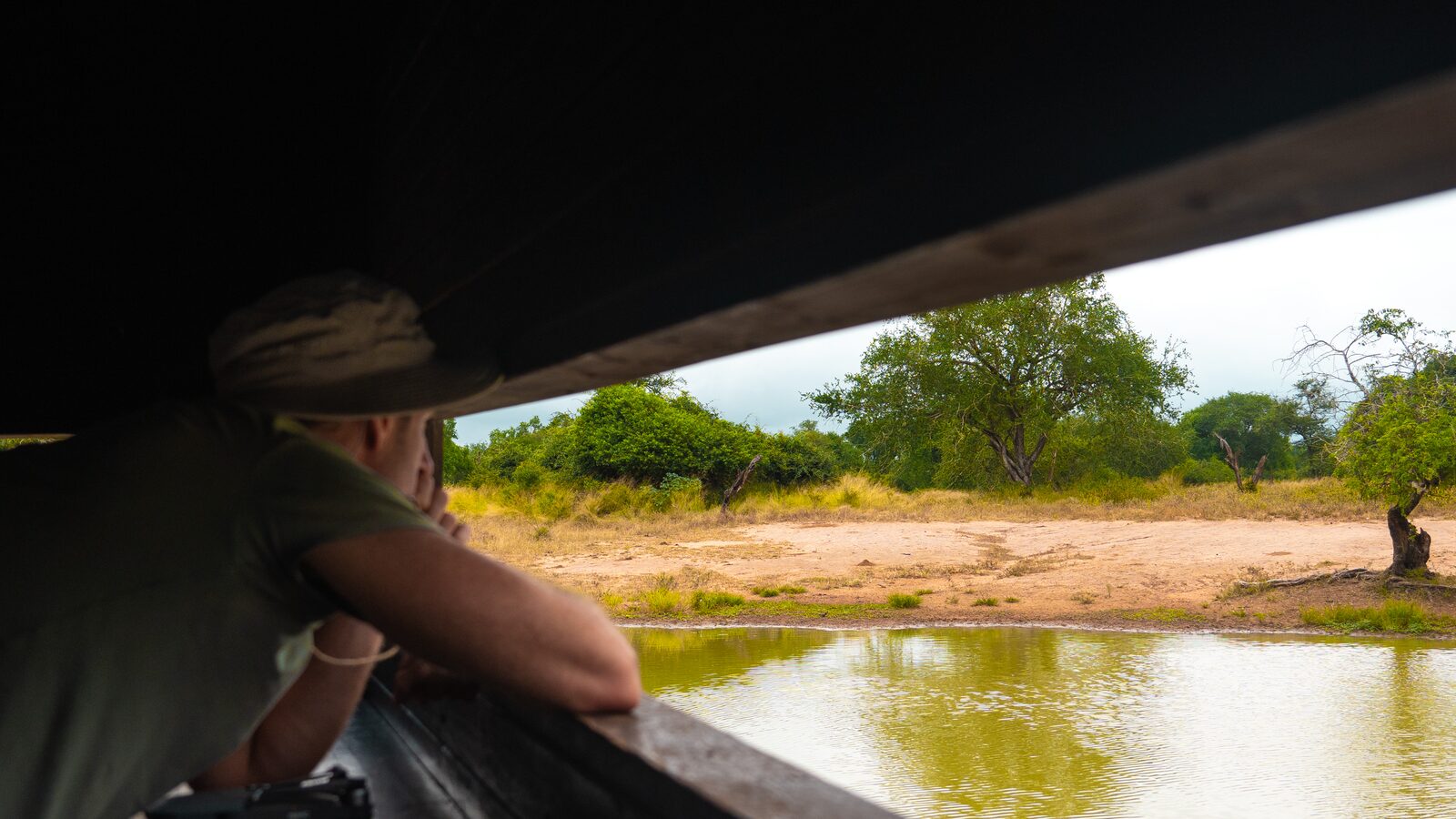 Waterbirds on Nsumo Pan, a destination for school field trips