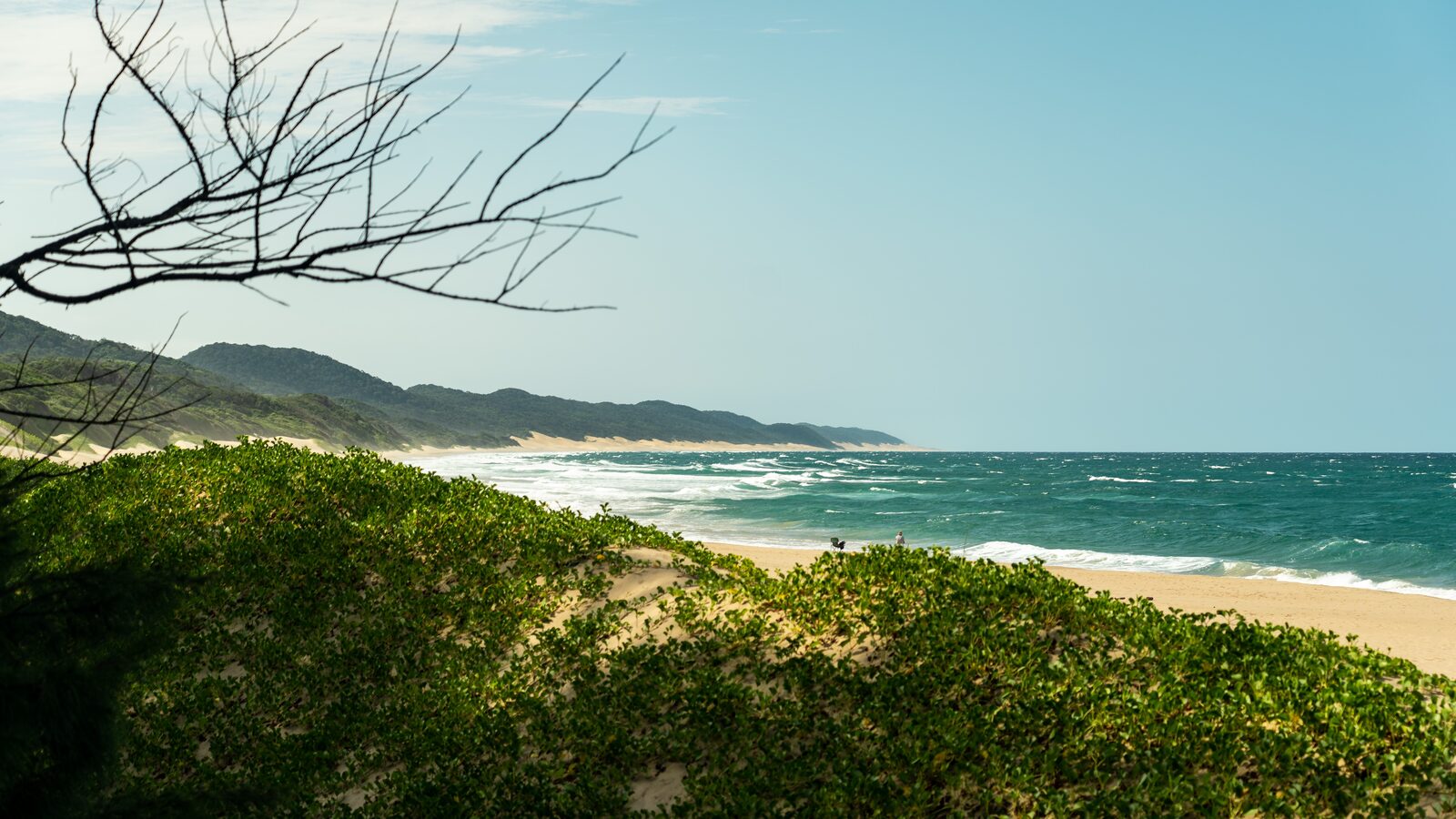 Turquoise surf along a beach with vegetated dunes receding into the distance