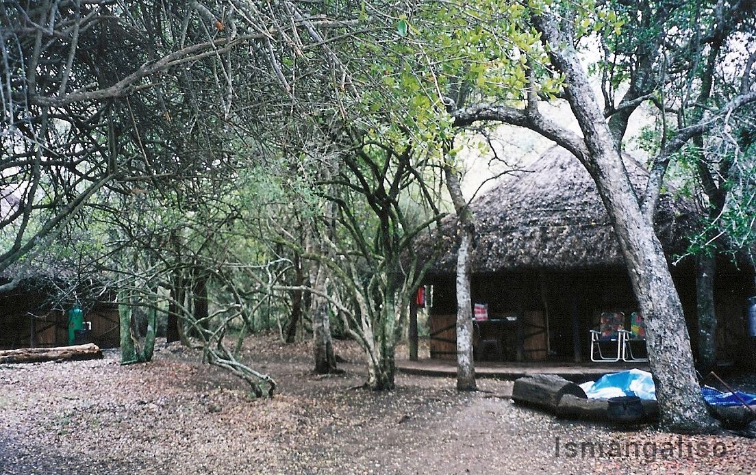 A thatched open-sided camp shelter in a gravel clearing under bare trees