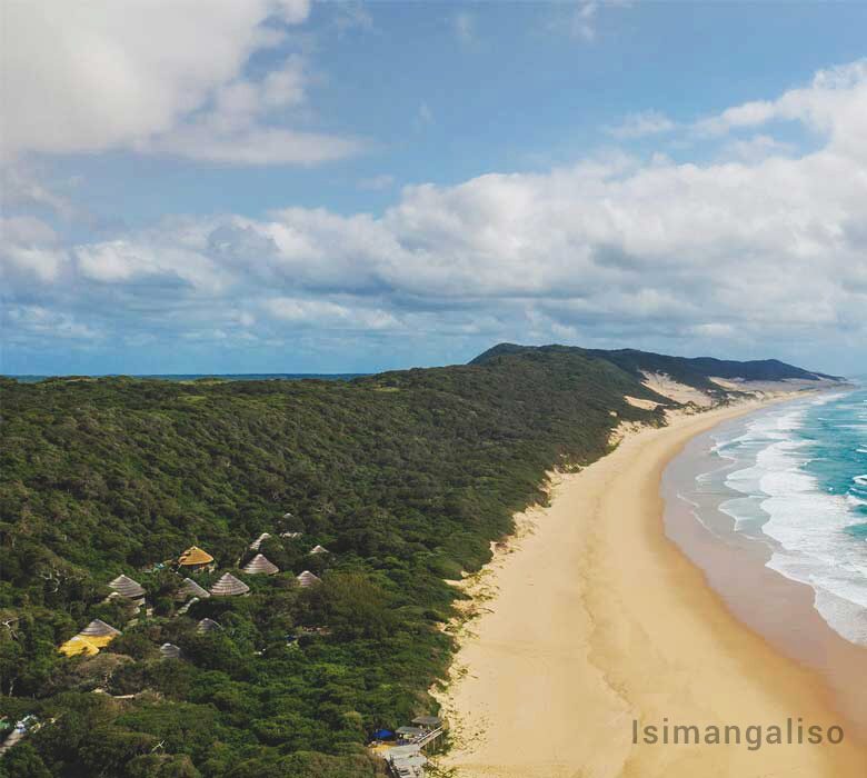 Aerial view of thatched huts in dune forest above a long empty beach