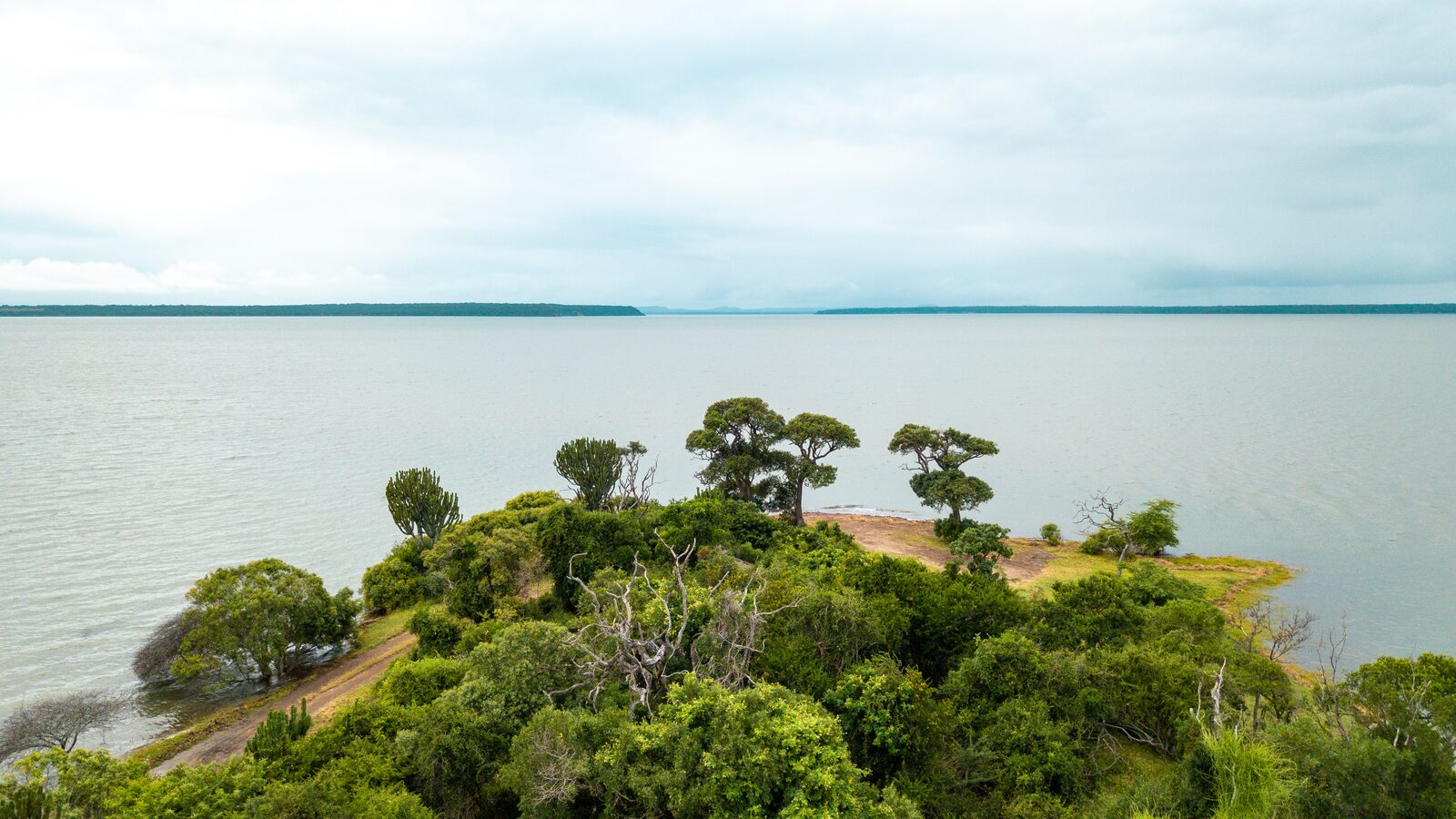 The False Bay shoreline on Lake St Lucia, part of the landscape graduates go on to manage
