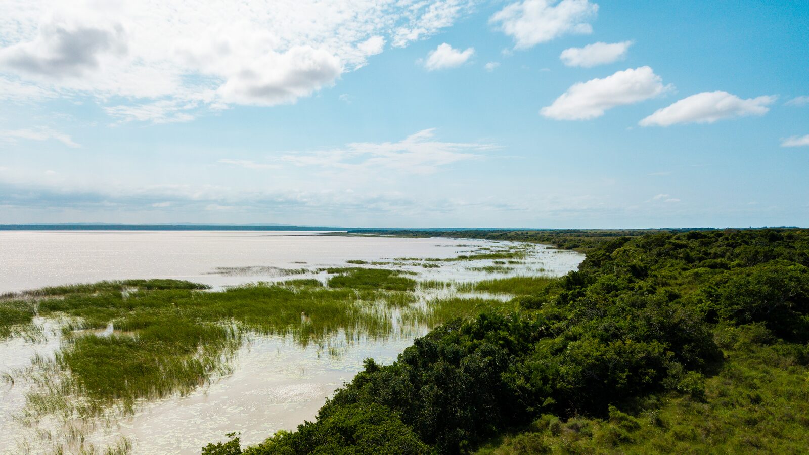 Lake St Lucia, the estuarine system at the heart of the Park