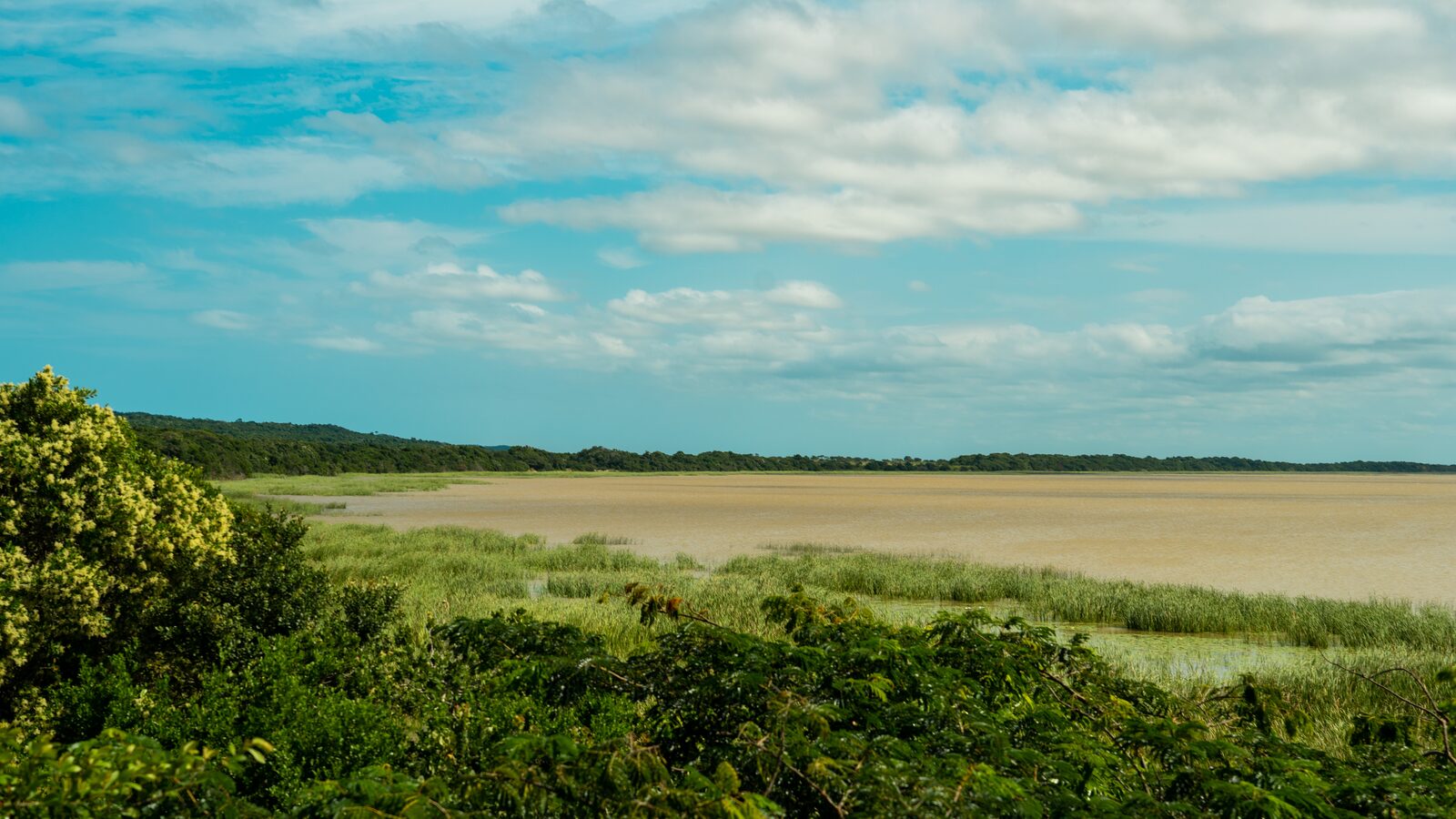 The shoreline of Lake St Lucia