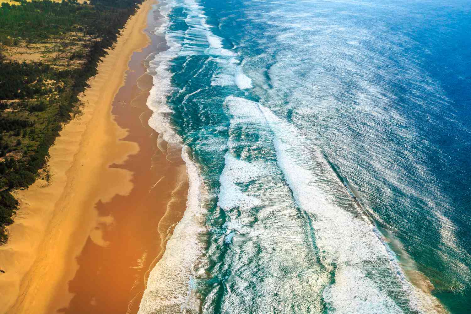 Aerial view of the iSimangaliso coastline where dune forest meets the Indian Ocean