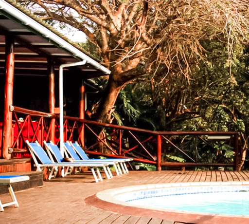 A poolside timber deck with loungers under trees at a bush lodge