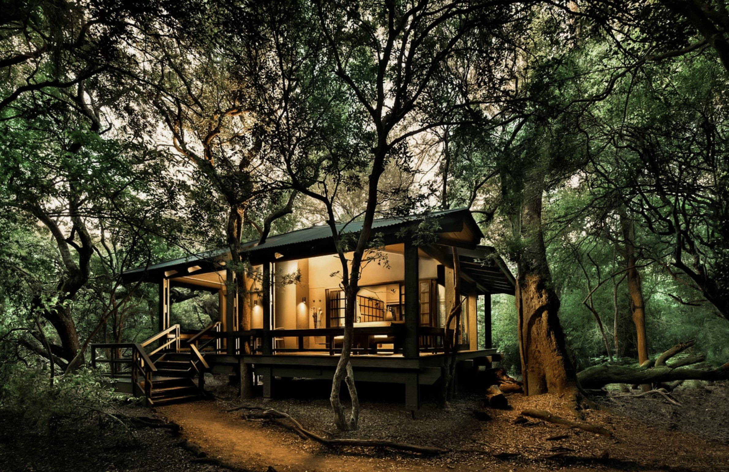 A lit timber cabin raised on stilts under dense forest canopy at dusk