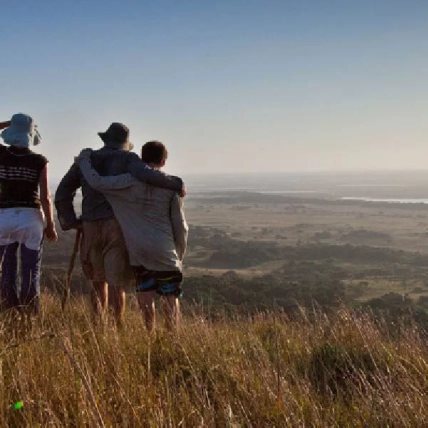 Forested dune trail at Maphelane