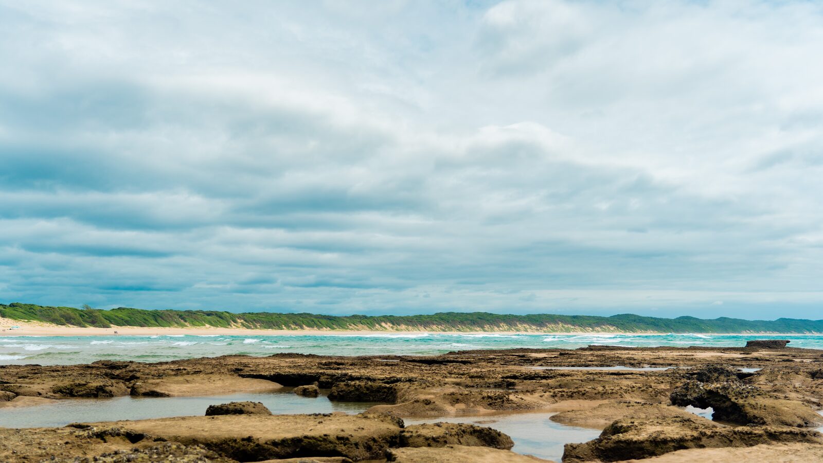 A rocky intertidal shelf with tidal pools, surf breaking beyond and dune forest along the coast