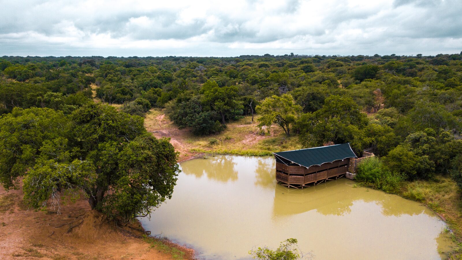 Aerial view of a timber game-viewing hide raised over a bush pan