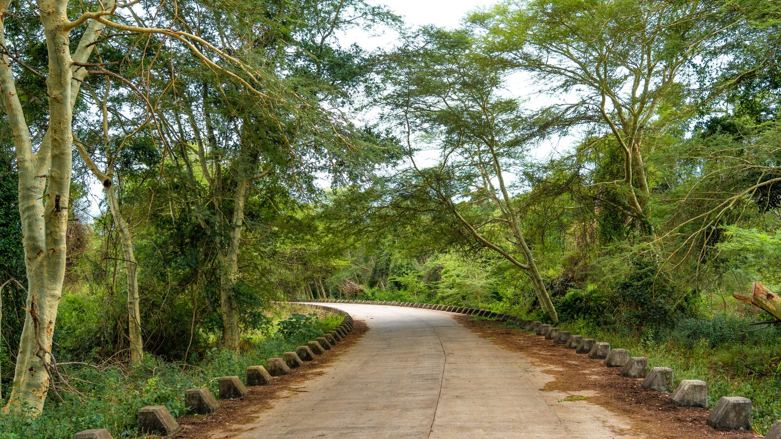The Bush Lifestyle and Nature