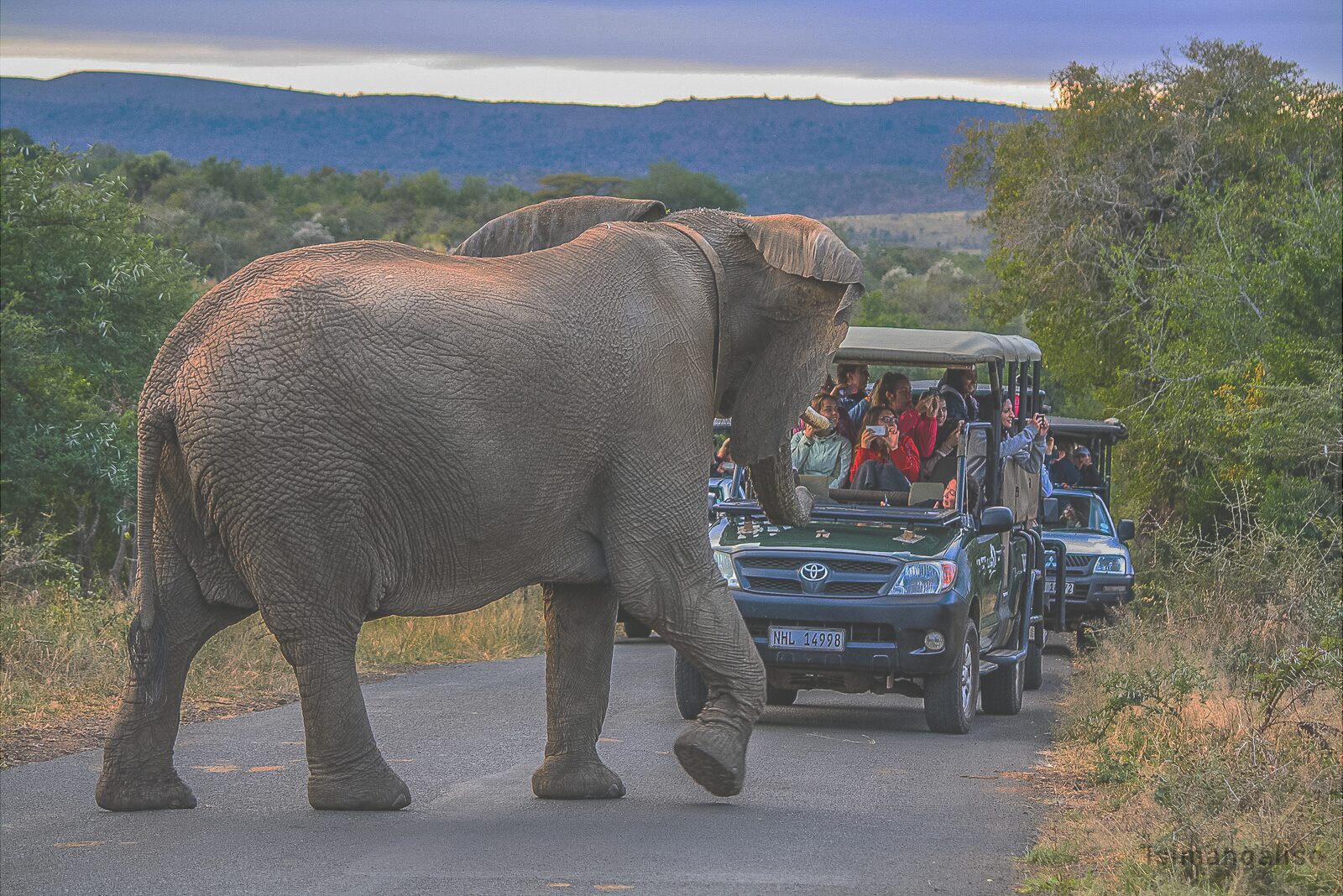 Heritage Tours & Safaris