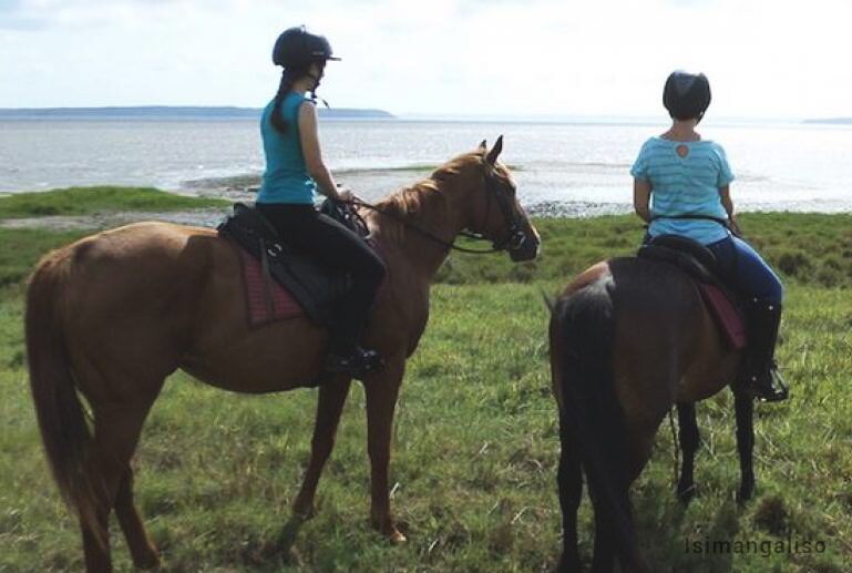 Hluhluwe Horse Safaris