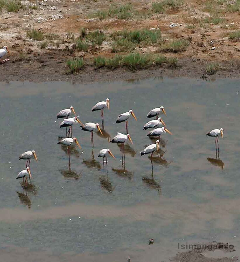Ezemvelo KZN Wildlife Rest Camps