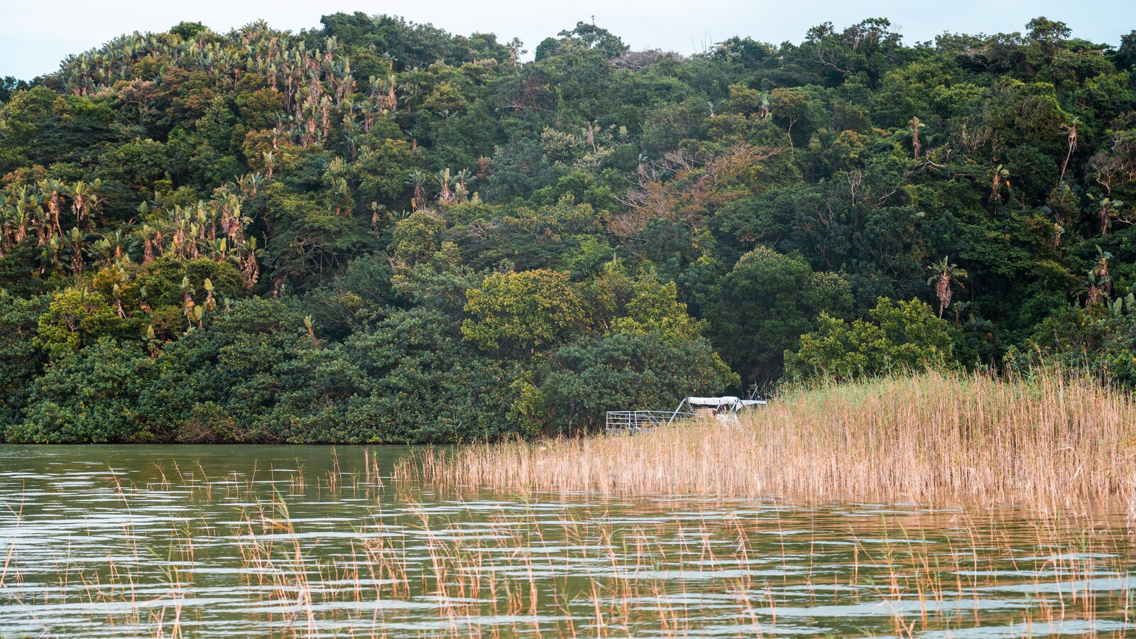 Kosi Thonga Safaris