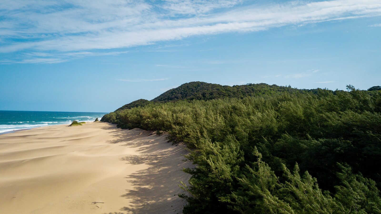 Dumi Legacy Tours